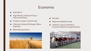 Economia
■ Agricultura:
■ trigo (Rússia, Ucrânia e França –
solos mais férteis)
■ Centeio, cevada e aveia (norte)
■ Videiras e oliveiras (Portugal, Itália e
Espanha)
■ Beterraba açucareira
■ Pecuária
■ Rigorosa seleção de raças
■ Holanda, Suíça e Dinamarca
(maiores rebanhos de gado leiteiro)
 