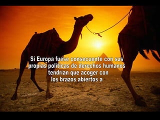 Si Europa fuese consecuente con sus propias políticas de derechos humanos tendrían que acoger con  los brazos abiertos a  