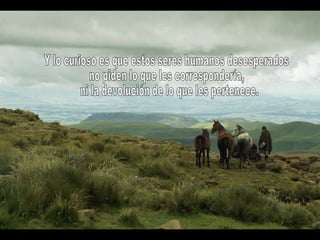 Y lo curioso es que estos seres humanos desesperados no piden lo que les correspondería, ni la devolución de lo que les pertenece. 