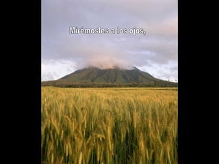 Mírémosles a los ojos, 