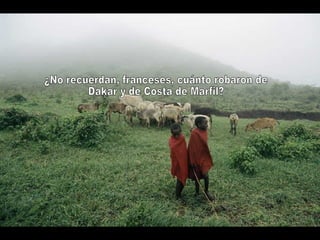 ¿No recuerdan, franceses, cuánto robaron de Dakar y de Costa de Marfil? 