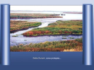 Delta Dunarii , zona protejata... 