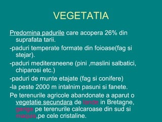 VEGETATIA
Predomina padurile care acopera 26% din
   suprafata tarii.
-paduri temperate formate din foioase(fag si
   stejar).
-paduri mediteraneene (pini ,maslini salbatici,
   chiparosi etc.)
-paduri de munte etajate (fag si conifere)
-la peste 2000 m intalnim pasuni si fanete.
Pe terenurile agricole abandonate a aparut o
   vegetatie secundara de lande in Bretagne,
   gariga pe terenurile calcaroase din sud si
   maquis,pe cele cristaline.
 