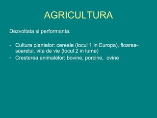 AGRICULTURA
Dezvoltata si performanta.

- Cultura plantelor: cereale (locul 1 in Europa), floarea-
  soarelui, vita de vie (locul 2 in lume)
- Cresterea animalelor: bovine, porcine, ovine
 