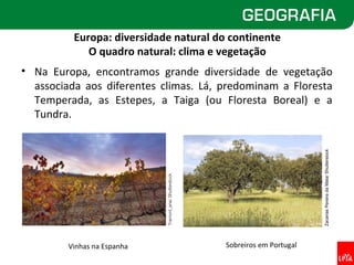 Europa: diversidade natural do continente
             O quadro natural: clima e vegetação
• Na Europa, encontramos grande diversidade de vegetação
  associada aos diferentes climas. Lá, predominam a Floresta
  Temperada, as Estepes, a Taiga (ou Floresta Boreal) e a
  Tundra.




                                                                                 Zacarias Pereira da Mata/ Shutterstock
                             Tramont_ana/ Shutterstock




         Vinhas na Espanha                               Sobreiros em Portugal
 