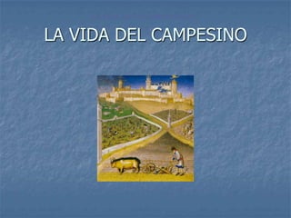 LA VIDA DE OS CAMPESINOS

LA VIDA DEL CAMPESINO
 