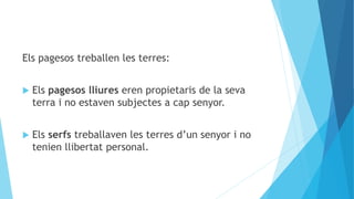 Els pagesos treballen les terres:
 Els pagesos lliures eren propietaris de la seva
terra i no estaven subjectes a cap senyor.
 Els serfs treballaven les terres d’un senyor i no
tenien llibertat personal.
 
