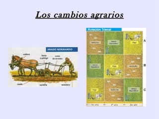 Los cambios agrarios
 