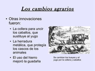 Los cambios agrarios
●   Otras innovaciones
    fueron:
    ●   La collera para uncir
        los caballos, que
        sustituye al yugo
    ●   La herradura
        metálica, que protegía
        los cascos de los
        animales
    ●   El uso del hierro        Se cambian los bueyes y el
                                 yugo por la collera y caballos
        mejoró la guadaña
 