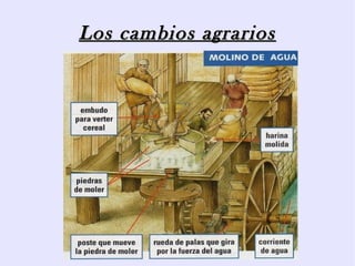 Los cambios agrarios
 