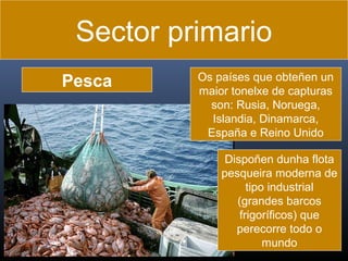 Sector primario
Pesca

Os países que obteñen un
maior tonelxe de capturas
son: Rusia, Noruega,
Islandia, Dinamarca,
España e Reino Unido
Dispoñen dunha flota
pesqueira moderna de
tipo industrial
(grandes barcos
frigoríficos) que
perecorre todo o
mundo

 