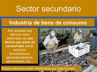 Sector secundario
Industria de bens de consumo
Son aquelas que
fabrican bens
destinados ao uso
directo por parte do
consumidor (téxtil,
produtos
farmacéuticos,
electrodomésticos,
alimentación, etc.)
Estas industrias están distribuidas por toda Europa

 