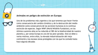 Animales en peligro de extinción en Europa:
Uno de los problemas más urgentes a los que tenemos que hacer frente
como consecuencia del cambio climático y de la destrucción del medio
ambiente como consecuencia de las acciones humanas es la continua
extinción de especies. Según WWF (World Wildlife Fundation), en los
últimos cuarenta años se ha reducido el 58% de la biodiversidad de nuestro
planeta y, por zonas Europa es una de las peor paradas. Esto se debe a
varios motivos, entre ellos, la elevada industrialización del viejo
continente y las escasas zonas protegidas con las que ha contado hasta
hace algunas décadas
 