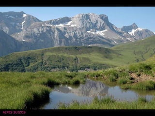 ALPES SUIZOS 