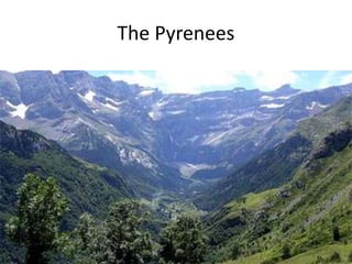 The Pyrenees
 