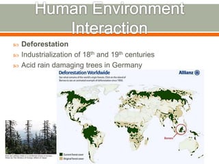 Deforestation
 Industrialization of 18th and 19th centuries
 Acid rain damaging trees in Germany
 