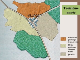 Céréales de printemps (orge, avoine) Blé de printemps (froment, seigle) jachère Première année Deuxième  année Troisième année 