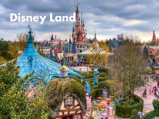 Disney Land
 