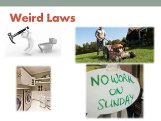 Weird Laws
 