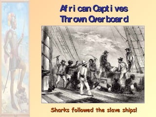 African Captives Thrown Overboard Sharks followed the slave ships! 