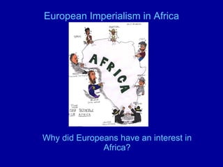 European Imperialism in Africa Why did Europeans have an interest in Africa? 