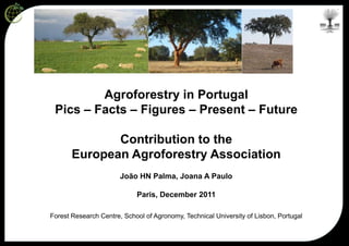 Agroforestry in Portugal
 Pics – Facts – Figures – Present – Future

              Contribution to the
       European Agroforestry Association
                       João HN Palma, Joana A Paulo

                            Paris, December 2011

Forest Research Centre, School of Agronomy, Technical University of Lisbon, Portugal
 