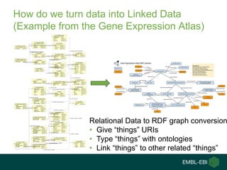 How do we turn data into Linked Data
(Example from the Gene Expression Atlas)
Relational Data to RDF graph conversion
• Gi...