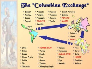 The “Columbian Exchange”The “Columbian Exchange”
 Squash  Avocado  Peppers  Sweet Potatoes
 Turkey  Pumpkin  Tobacco  Quinine
 Cocoa  Pineapple  Cassava  POTATO
 Peanut  TOMATO  Vanilla  MAIZE
 Syphilis
 Olive  COFFEE BEAN  Banana  Rice
 Onion  Turnip  Honeybee  Barley
 Grape  Peach  SUGAR CANE  Oats
 Citrus Fruits  Pear  Wheat  HORSE
 Cattle  Sheep  Pigs  Smallpox
 Flu  Typhus  Measles  Malaria
 Diptheria  Whooping Cough
 Trinkets
 Liquor
 GUNS
 