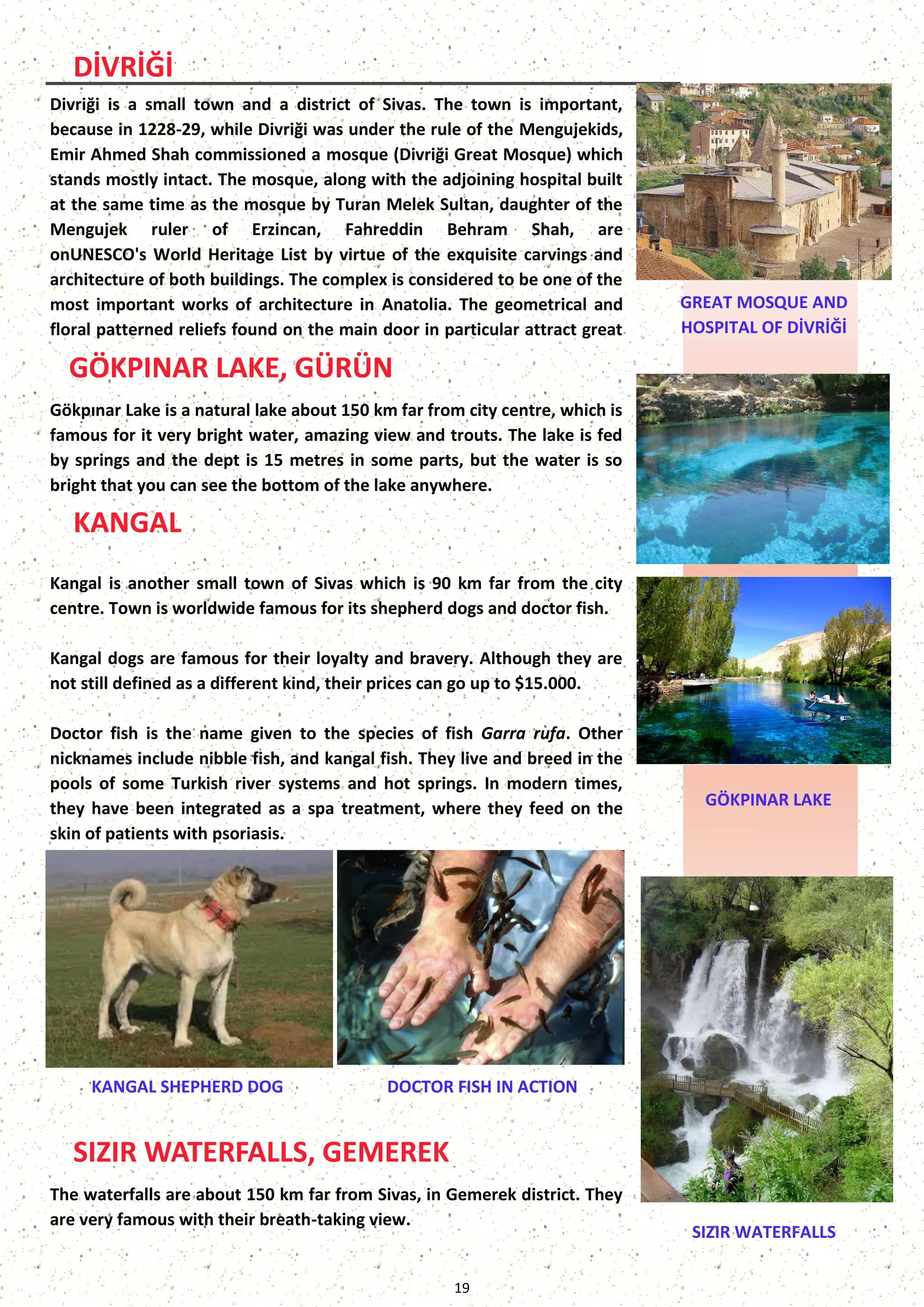 19 
DİVRİĞİ 
Divriği is a small town and a district of Sivas. The town is important, because in 1228-29, while Divriği was under the rule of the Mengujekids, Emir Ahmed Shah commissioned a mosque (Divriği Great Mosque) which stands mostly intact. The mosque, along with the adjoining hospital built at the same time as the mosque by Turan Melek Sultan, daughter of the Mengujek ruler of Erzincan, Fahreddin Behram Shah, are onUNESCO's World Heritage List by virtue of the exquisite carvings and architecture of both buildings. The complex is considered to be one of the most important works of architecture in Anatolia. The geometrical and floral patterned reliefs found on the main door in particular attract great 
GREAT MOSQUE AND HOSPITAL OF DİVRİĞİ 
Gökpınar Lake is a natural lake about 150 km far from city centre, which is famous for it very bright water, amazing view and trouts. The lake is fed by springs and the dept is 15 metres in some parts, but the water is so bright that you can see the bottom of the lake anywhere. 
GÖKPINAR LAKE, GÜRÜN 
GÖKPINAR LAKE 
Kangal is another small town of Sivas which is 90 km far from the city centre. Town is worldwide famous for its shepherd dogs and doctor fish. 
Kangal dogs are famous for their loyalty and bravery. Although they are not still defined as a different kind, their prices can go up to $15.000. 
Doctor fish is the name given to the species of fish Garra rufa. Other nicknames include nibble fish, and kangal fish. They live and breed in the pools of some Turkish river systems and hot springs. In modern times, they have been integrated as a spa treatment, where they feed on the skin of patients with psoriasis. 
KANGAL 
SIZIR WATERFALLS, GEMEREK 
The waterfalls are about 150 km far from Sivas, in Gemerek district. They are very famous with their breath-taking view. 
SIZIR WATERFALLS 
DOCTOR FISH IN ACTION 
KANGAL SHEPHERD DOG  