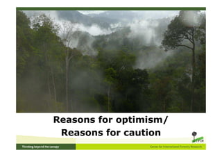 Reasons for optimism/
 Reasons for caution
 