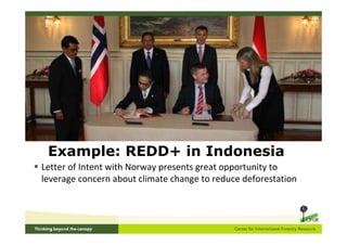 Example: REDD+ in Indonesia
Letter of Intent with Norway presents great opportunity to
leverage concern about climate change to reduce deforestation
 