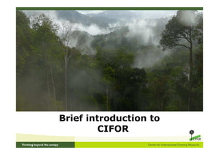 Brief introduction to
         CIFOR
 