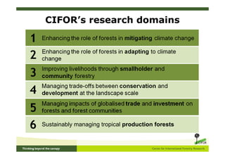 CIFOR’s research domains




6   Sustainably managing tropical production forests
 