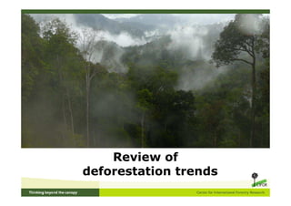 Review of
deforestation trends
 