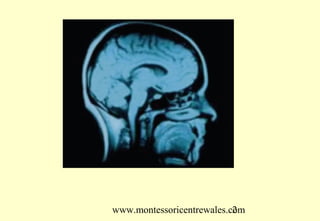 www.montessoricentrewales.com
                           2
 