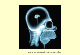 www.montessoricentrewales.com
                           3
 