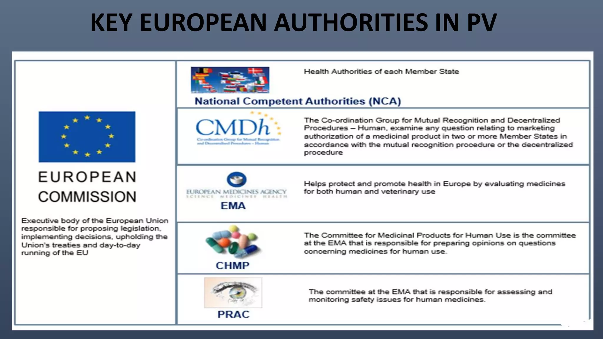 KEY EUROPEAN AUTHORITIES IN PV
 