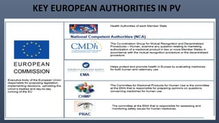 KEY EUROPEAN AUTHORITIES IN PV
 