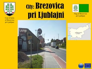 City: Brezovica
pri LjublajniCoat of arms 
of Brezovica 
pri Ljubljani
Flag of Brezovica 
pri Ljubljani
 