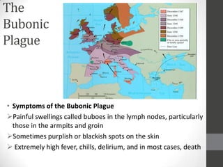 The
Bubonic
Plague



• Symptoms of the Bubonic Plague
Painful swellings called buboes in the lymph nodes, particularly
  those in the armpits and groin
Sometimes purplish or blackish spots on the skin
 Extremely high fever, chills, delirium, and in most cases, death
 