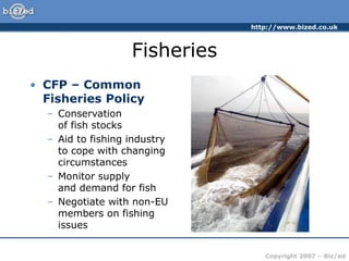 http://www.bized.co.uk
Copyright 2007 – Biz/ed
Fisheries
• CFP – Common
Fisheries Policy
– Conservation
of fish stocks
– Aid to fishing industry
to cope with changing
circumstances
– Monitor supply
and demand for fish
– Negotiate with non-EU
members on fishing
issues
 