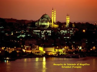 Mezquita de Suleimán el Magnífico Estambul (Turquía) 