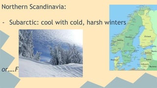 Northern Scandinavia: 
- Subarctic: cool with cold, harsh winters 
or….FAR north: 
 