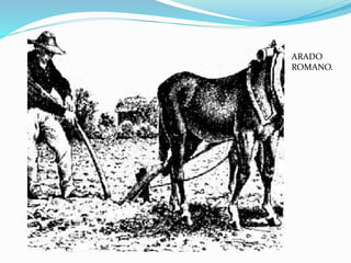 ARADO 
ROMANO. 
 