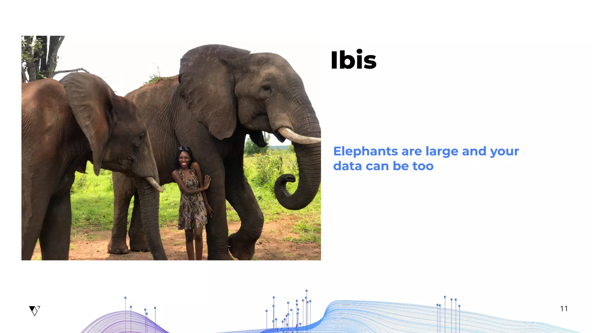 11
Ibis
Elephants are large and your
data can be too
 