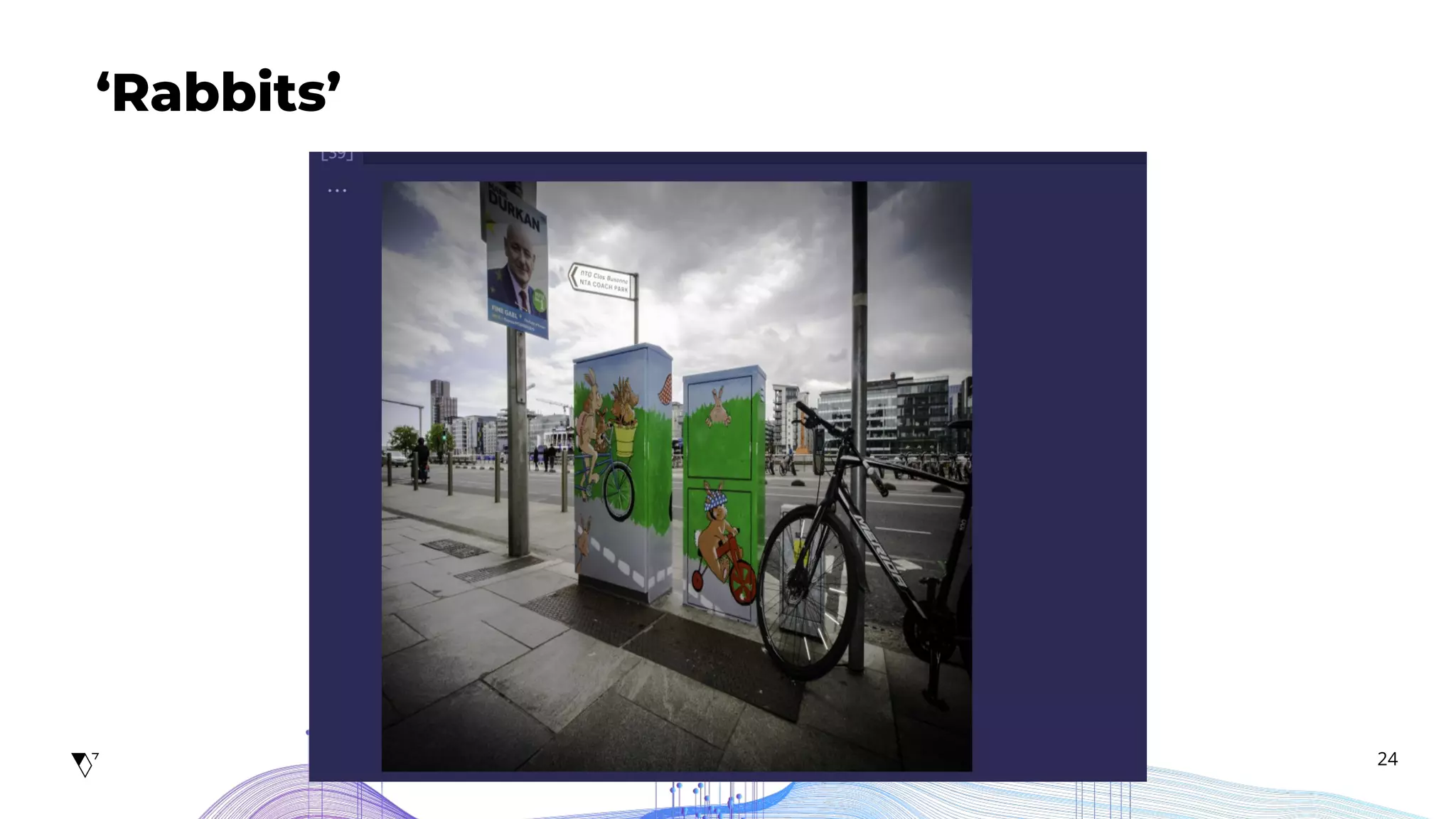 24
‘Rabbits’
 