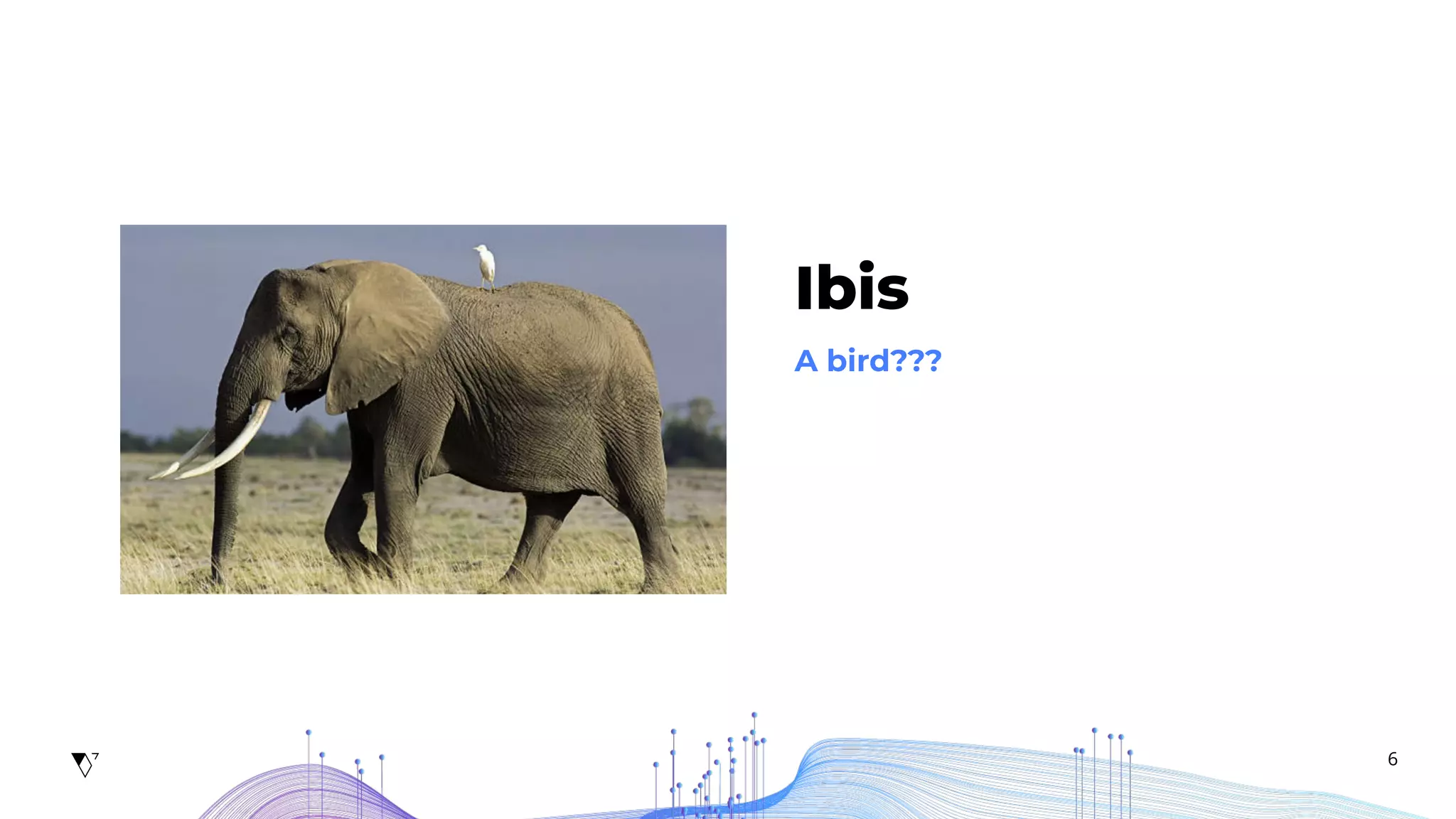 6
Ibis
A bird???
 