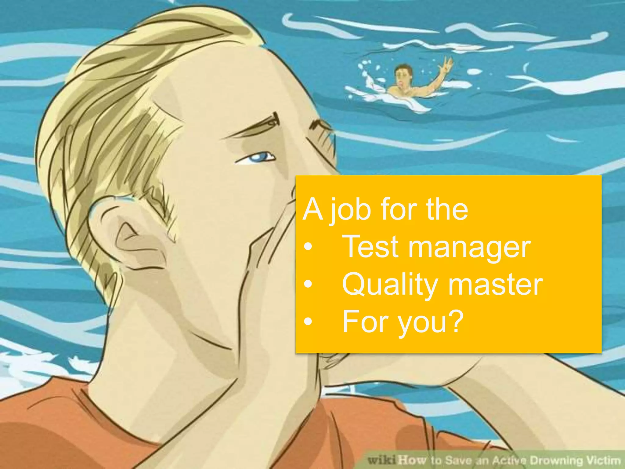 45
A job for the
• Test manager
• Quality master
• For you?
 