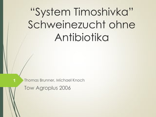 “System Timoshivka” SchweinezuchtohneAntibiotika 
Thomas Brunner, Michael Knoch 
Tow Agroplus2006 
1 
 