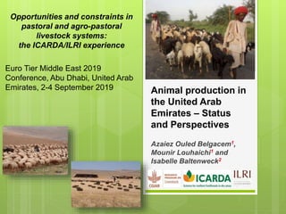 Animal production in
the United Arab
Emirates – Status
and Perspectives
Azaiez Ouled Belgacem1,
Mounir Louhaichi1 and
Isabelle Baltenweck2
Opportunities and constraints in
pastoral and agro-pastoral
livestock systems:
the ICARDA/ILRI experience
Euro Tier Middle East 2019
Conference, Abu Dhabi, United Arab
Emirates, 2-4 September 2019
 